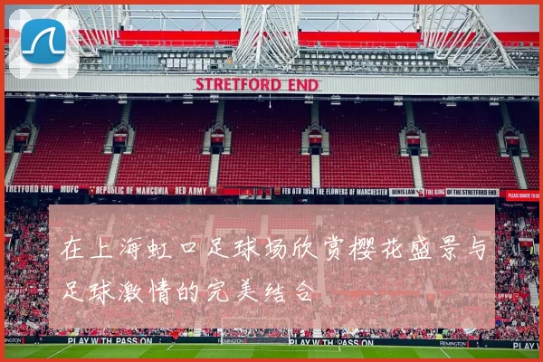 在上海虹口足球场欣赏樱花盛景与足球激情的完美结合